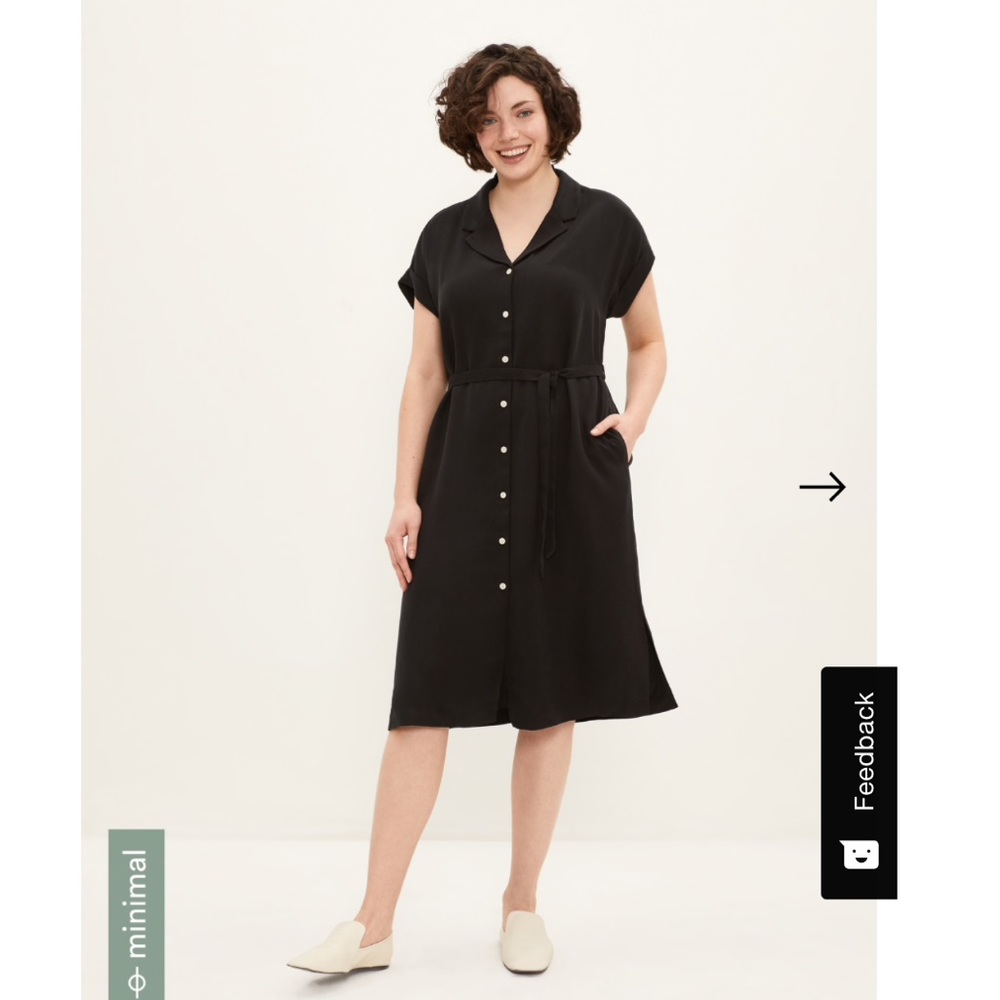 NWT Frank & Oak Dress